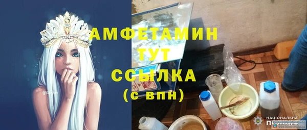 индика Гусев