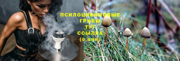 PSILOCYBIN Горно-Алтайск